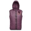 Honeycomb hooded gilet Thumbnail